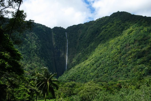 ハワイ島最大のヒーリングスポット、絶景と神秘のワイピオ渓谷