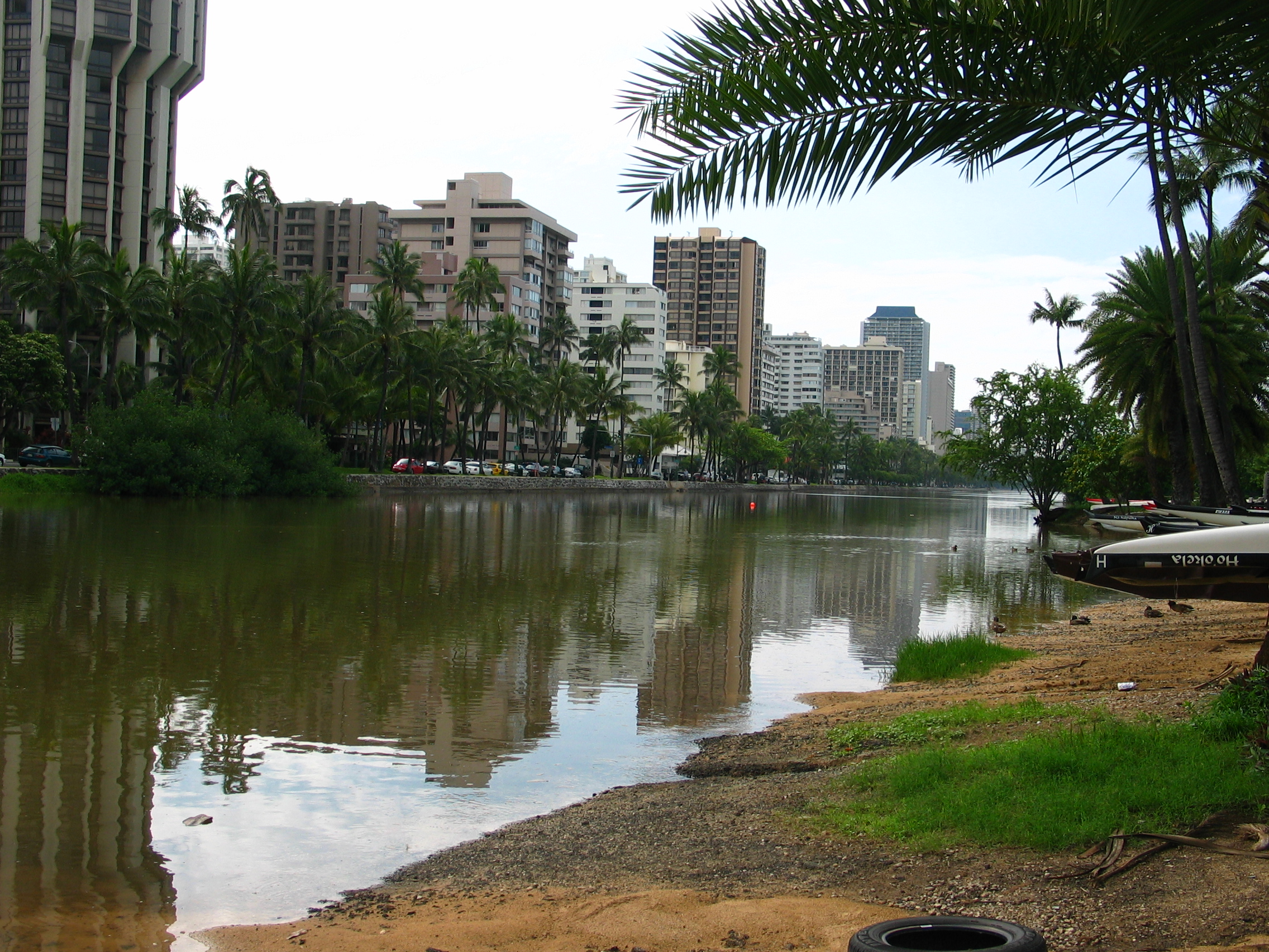 マノアの滝からアラワイ運河までをたどるプチ冒険 | スマートリップ