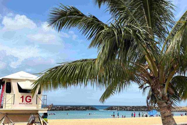 A Happy New Year ！2026年もハワイのホットな情報を届けます！！