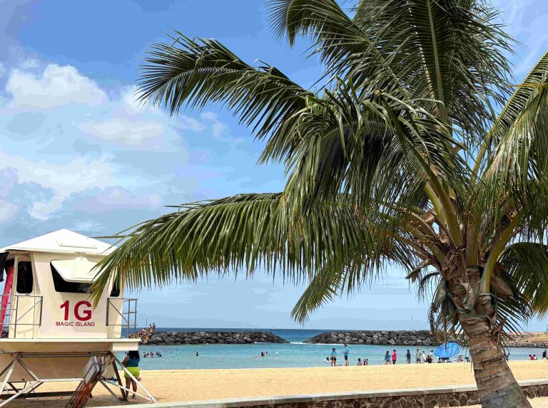 A Happy New Year ！2026年もハワイのホットな情報を届けます！！