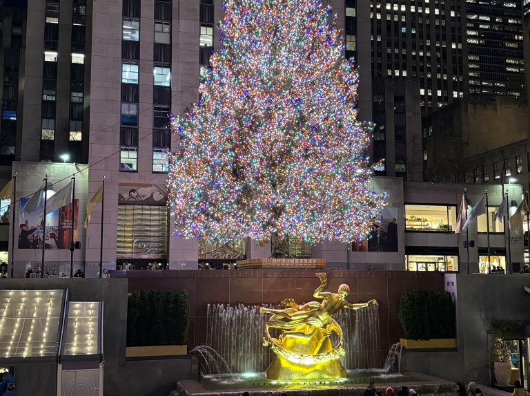 Mele Kalikimaka!  Xmasデコレーション ハワイVSニューヨーク